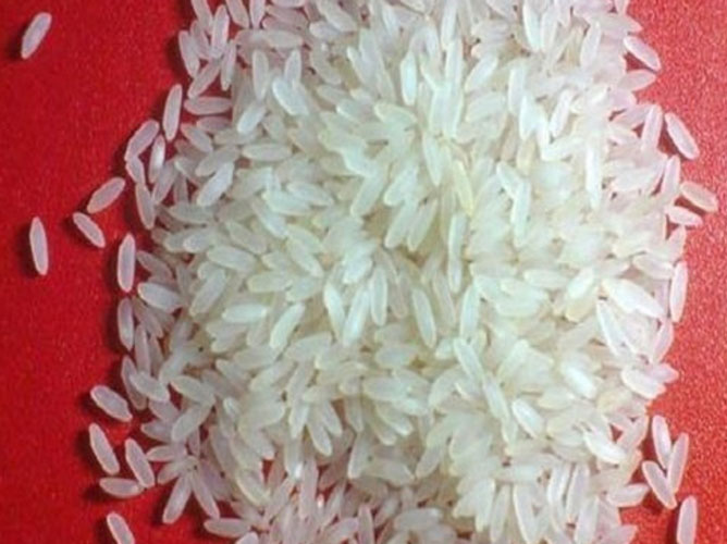 DLX RICE